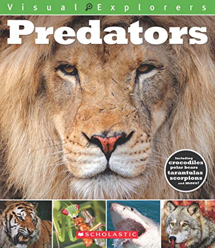 Visual Explorers: Predators by Toby Reynolds