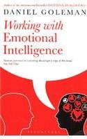 Working with Emotional Intelligence by Daniel Goleman