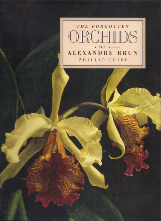 The Forgotten Orchids Of Alexandre Brun by Alexandre Brun